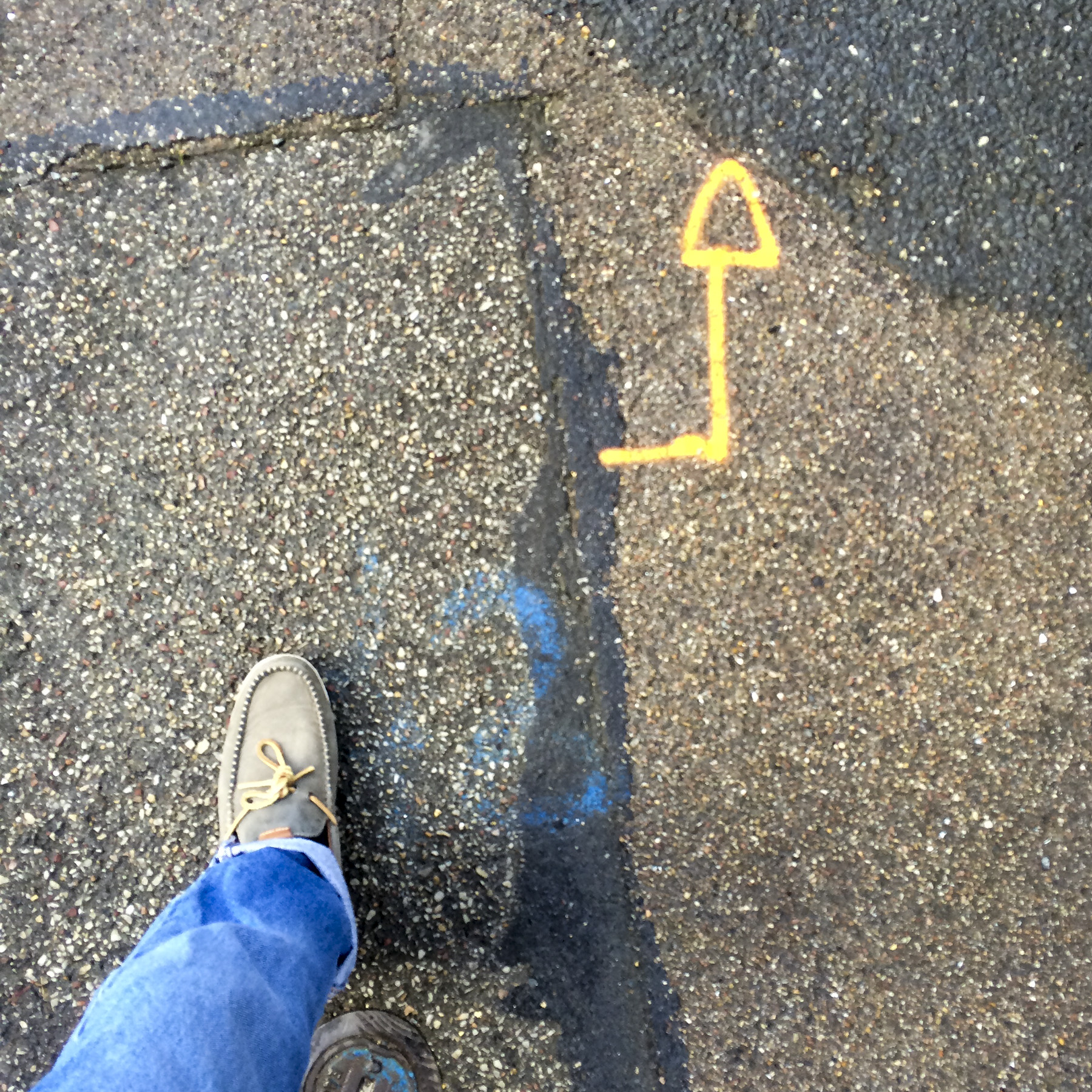 1st of 6 placeholder images: yellow arrow spraypainted on pavement, photograph's foot lower left